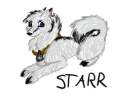 Starr