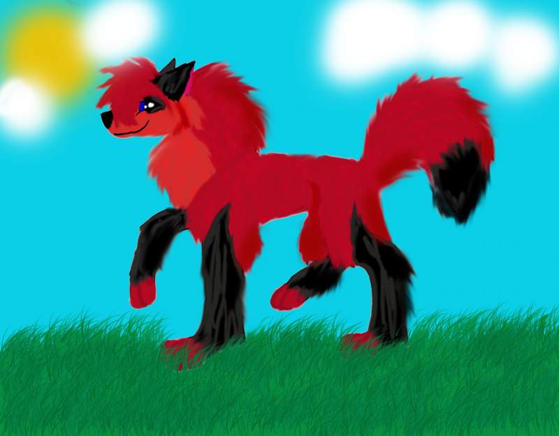 Flame walking in sunshine!