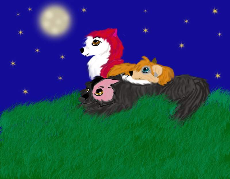 art trade with catwings!!^^