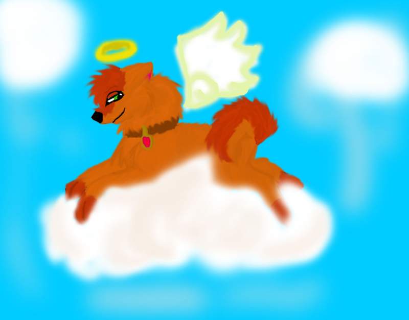 Angel Sheba!!^^