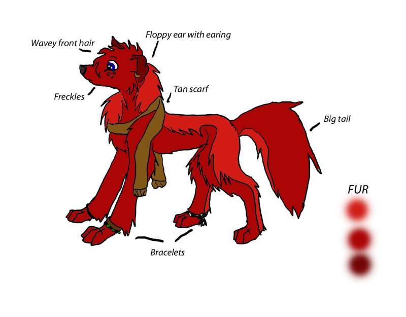 Blueeye's refrence sheet