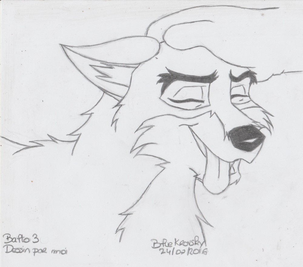 Balto aime les câlins 