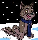 Bébé Balto dans la neige