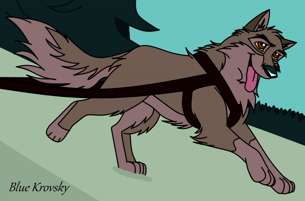 Cours Balto 
