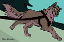 Cours Balto 