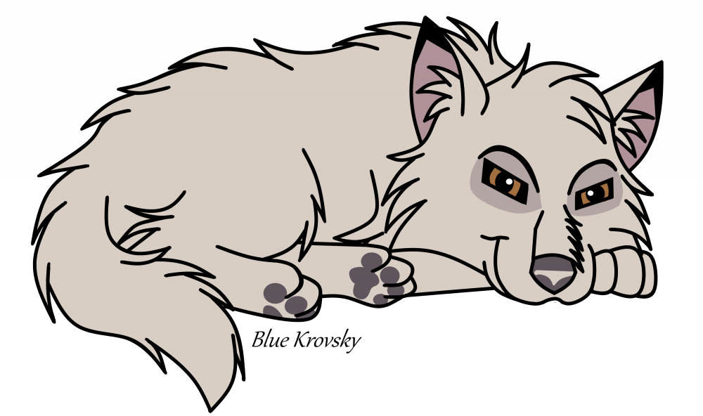 Bébé White Wolf