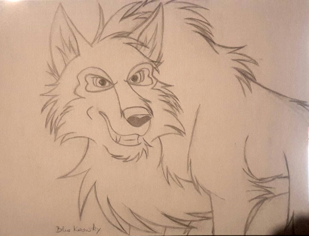 Niju (Sketch) 