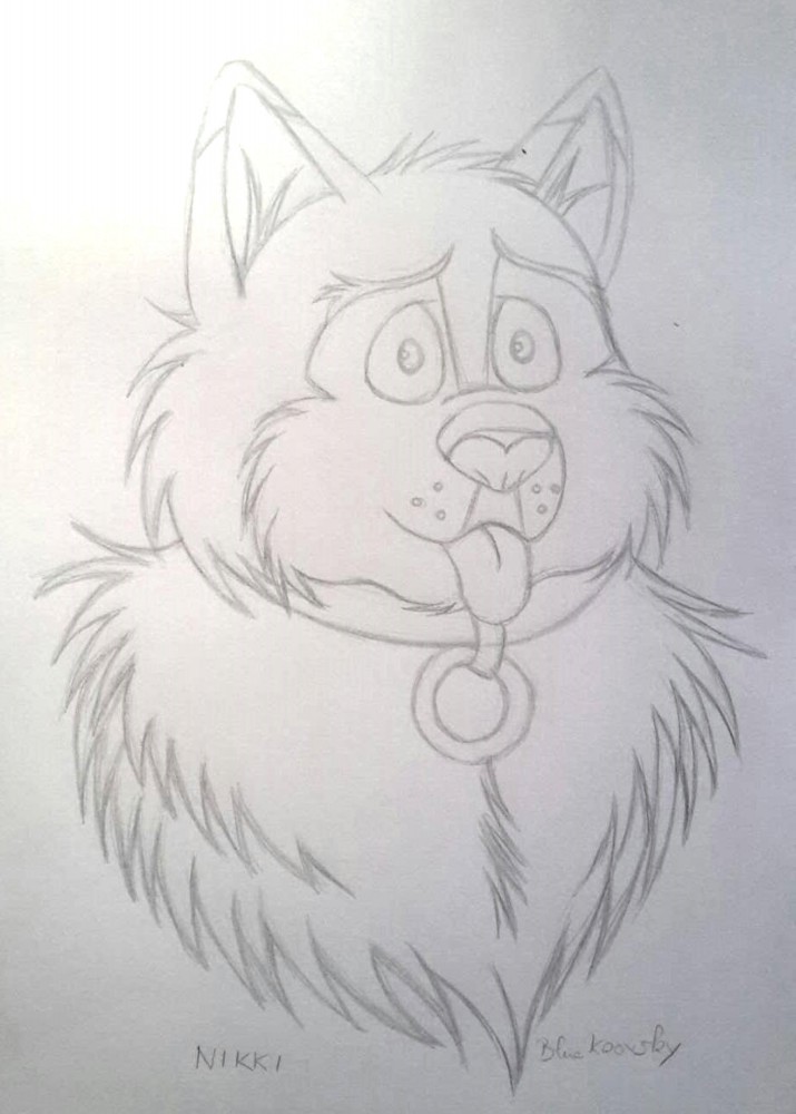 Nikki (Sketch)