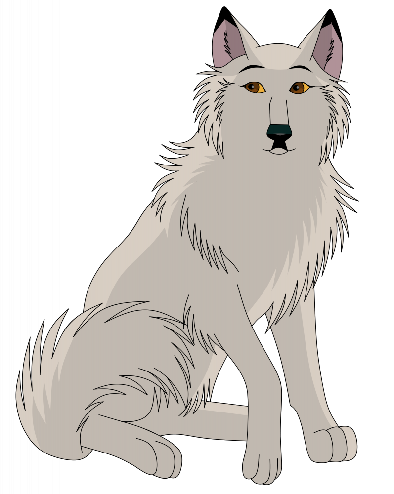 Aniu