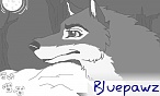 bluepawz