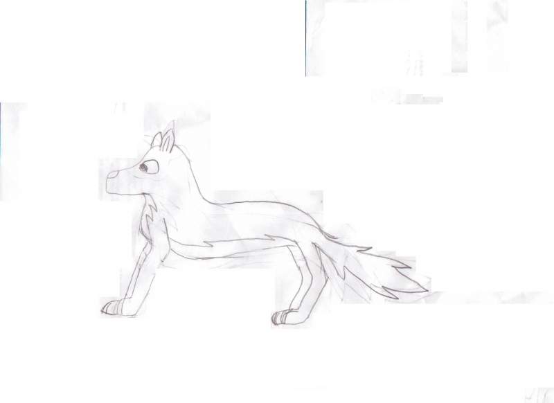 a wolf picture i drew