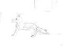 a wolf picture i drew