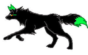 Animation