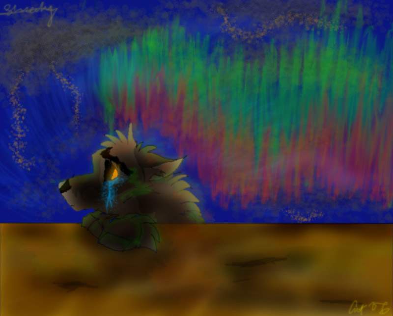 BALTO!