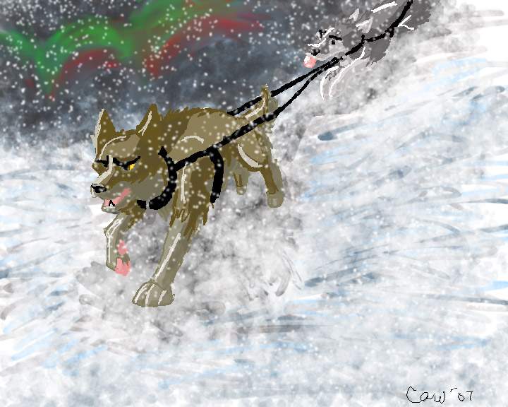 GO BALTO!