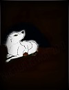 We`re Safe Here