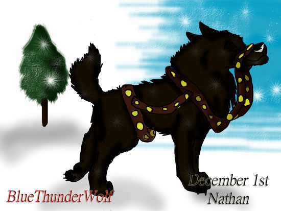 Countdown to Christmas-Dec. 1st-Nathan