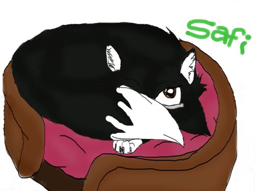 Safi-Requested by Messer Games