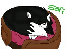 Safi-Requested by Messer Games