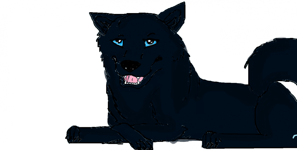 Blue Sketch