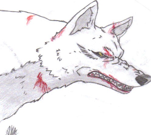 Kiba (Wolf's Rain)