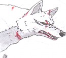 Kiba (Wolf's Rain)