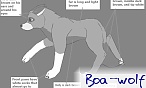 Boa_Night_Creeper