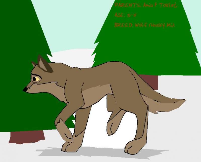 Balto