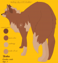 shaka