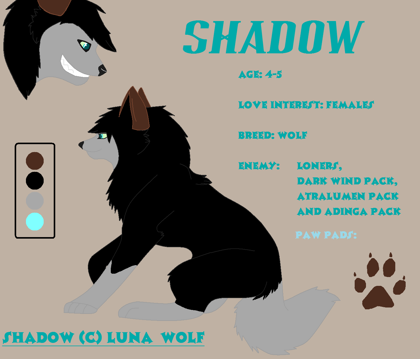 Shadow