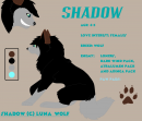 Shadow