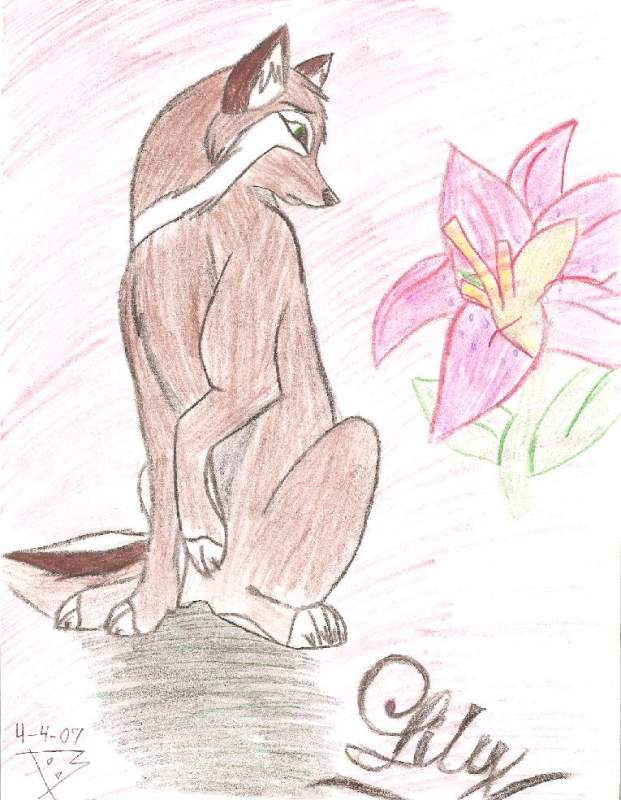 Lily