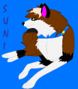 Saphire wolf- request-suni