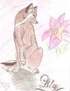 Lily