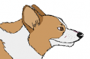 updated bernard