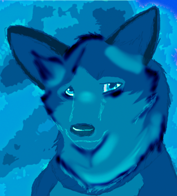 photoshop boa