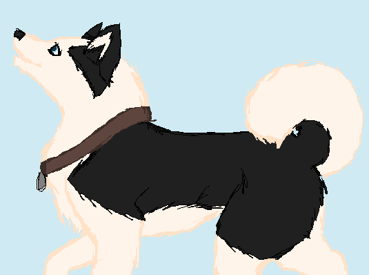 Request - Maya - Blackhusky!