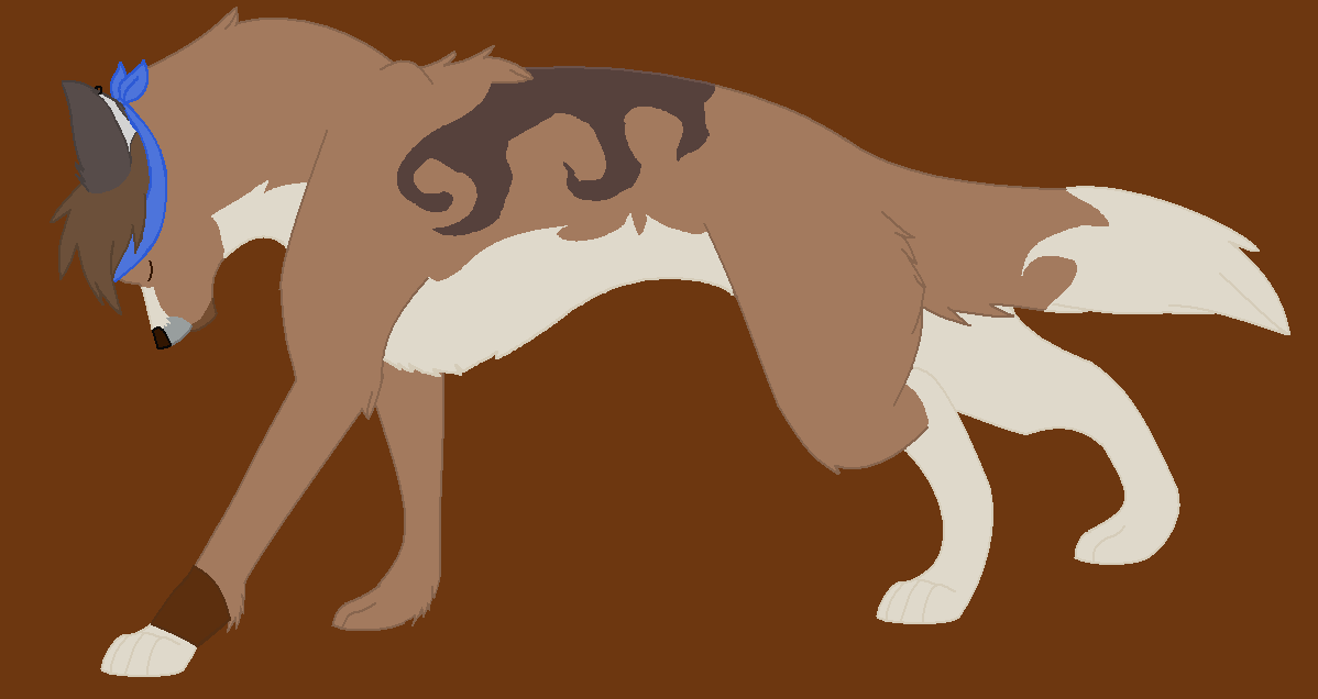 Adoptee from Raider