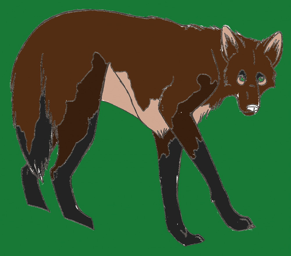 Taya *possible new design*