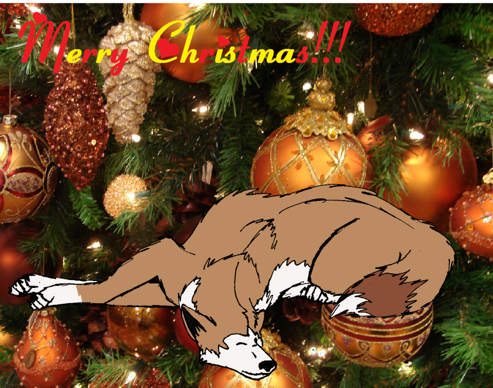 Merry X-mas!