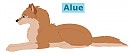 Alue