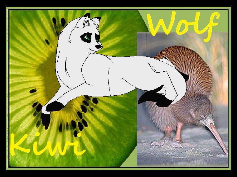 Kiwi again