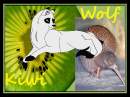 Kiwi again