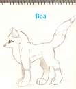 Boa Sketchy