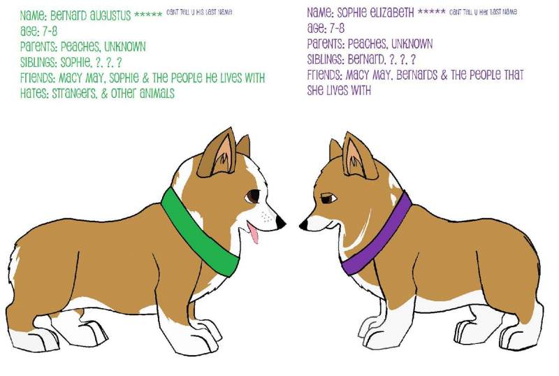 Comparison