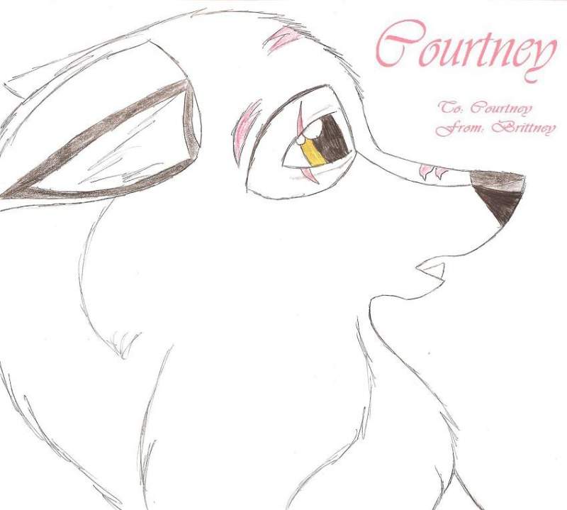 Courtney