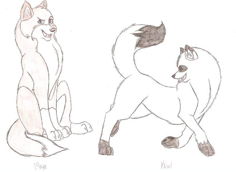 Maya & Kiwi