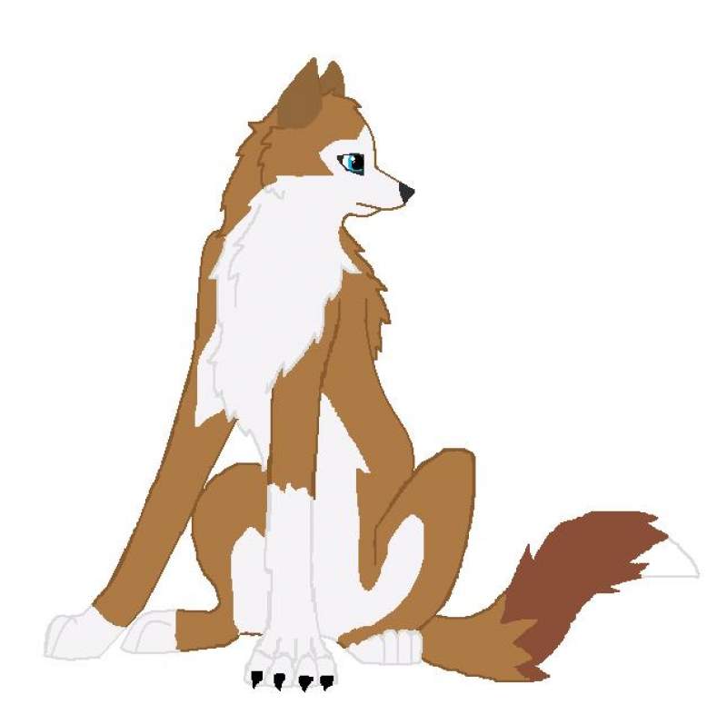 Boa sitting