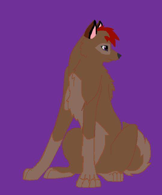 Its hopes new design!