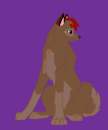 Its hopes new design!